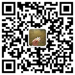 weixin